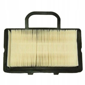 Filtr Powietrza BRIGGS&STRATTON 2 Cylindry