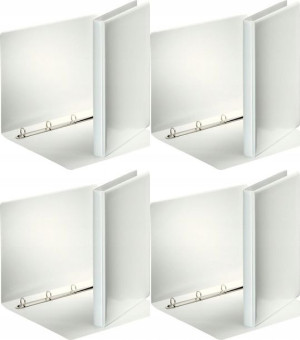 Segregator ofertowy Esselte Panorama A4 biały x4