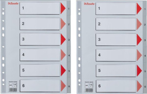 Przekładki do segregatora Mylar A4 Esselte 1-6 x2