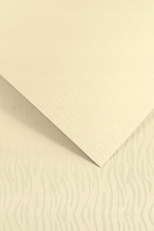 Karton ozdobny Pacific Galeria Papieru A4 40 ark