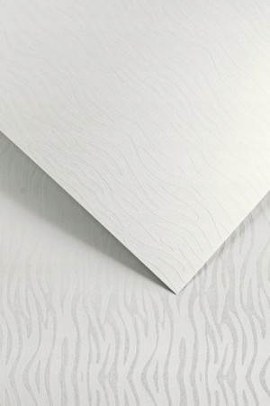 Karton ozdobny Pacific Galeria Papieru A4 40 ark