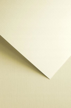 Karton ozdobny Galeria Papieru A4 230g/m2 100 ark
