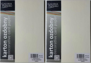 Karton ozdobny A4 250g/m2 20 arkuszy kremowy x2