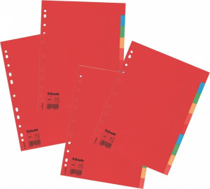 Przekładki do segregatora Mylar A4 Esselte 40 KART