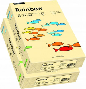 Papier drukarki Rainbow A4 R06 kość słoniowa x2
