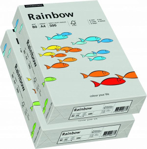Papier ksero Rainbow Papyrus A4 500ark szary x2