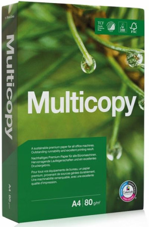 Papier ksero A4 80g do drukarki 500 arkuszy RYZA