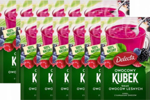 Kisiel Delecta owoce leśne 12x30g