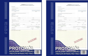 Protokół Ustalenia Przyczyn Wypadku Przy Pracy X2