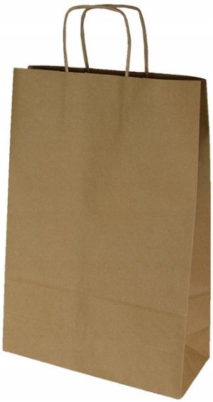 Torba papierowa Ecobag 305x170x340mm gładka 100szt
