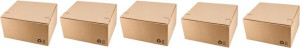 Kkarton Sendbox F703 310x230x160mm brązowy x 5