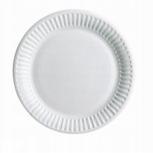 Talerz papierowy BIAŁY 23 cm 100 szt.