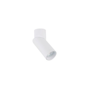Oprawa sufitowa spot oczko LED Nowodvorski INDIA 7858 stal, biały