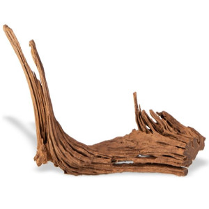 Mangrove root Indonesian - korzeń na sztuki M