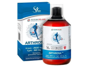 Arthrosil Krzem Cynk Glukozamina Chondroityna 500ml Glycan