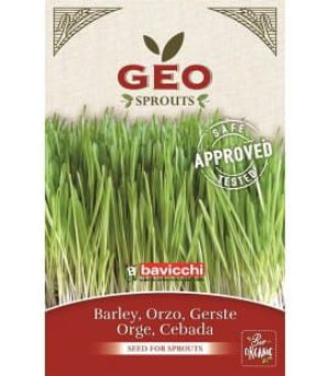Jęczmień - nasiona na kiełki GEO, certyfikowane, 80g, Bavicchi