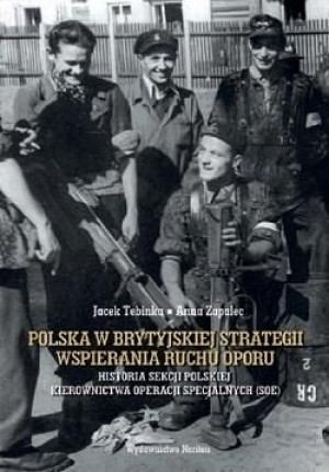 Polska w brytyjskiej strategii wspierania ruchu..  Tebinka, Zapalec