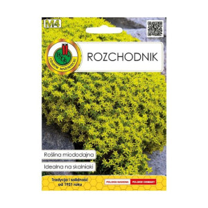Rozchodnik nasiona tradycyjne