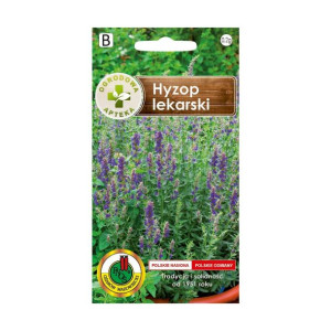 Hyzop lekarski nasiona tradycyjne Ogrodowa apteka