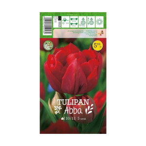 Tulipan Abba 5szt. cebulki kwiatów