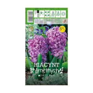 Hiacynt Amethyst 2szt. cebulki kwiatów