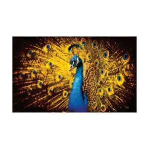 Fototapeta Paw 368 x 254 cm