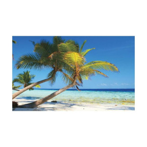 Fototapeta Plaża 208 x 146 cm