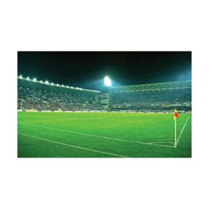 Fototapeta Stadion 104 x 70 cm