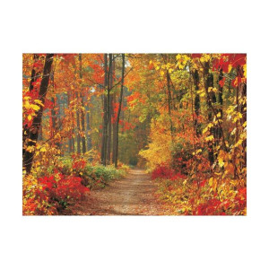 Fototapeta Jesienny Las 208 x 146 cm
