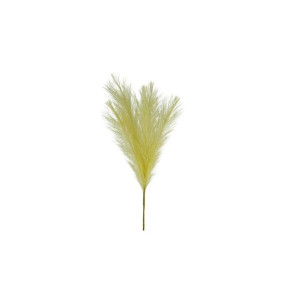 Trawa pampasowa 60cm mix