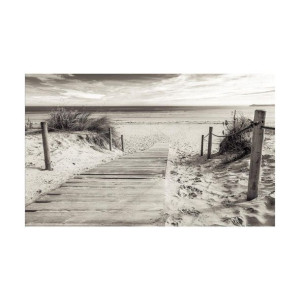 Fototapeta Plaża Sepia 312 x 219 cm