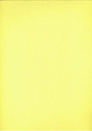 Prześcieradło bawełniane 160x200 cytrynowe S04 jednobarwne KARO