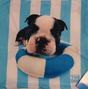 Poszewka dziecięca 40x40 3D Pies piesek buldog paski grochy niebieska DOG 1