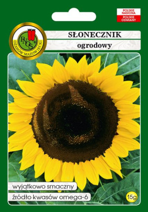 Słonecznik ogrodowy jadalny
