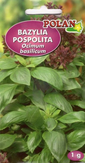 Bazylia pospolita zielona 1g