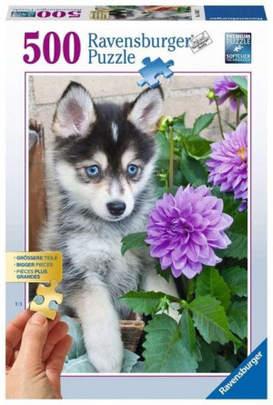 Ravensburger Puzzle 500 El Śliczny Husky