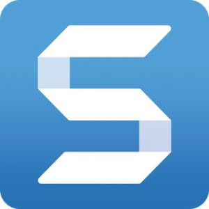 Snagit Commercial