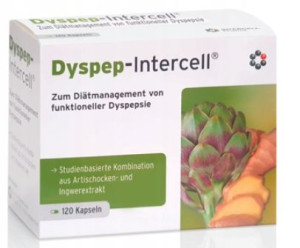 Dyspep - Intercell KARCZOCH Imbier TRAWIENIE 120