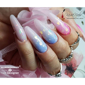 Princess Nails NR 4 Pyłek do paznokci