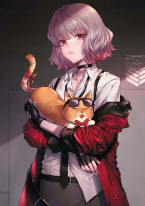 Plakat A3 gra Girl's Frontline Doll's frontline