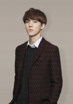 Plakat A3 K-Pop Kpop EXO