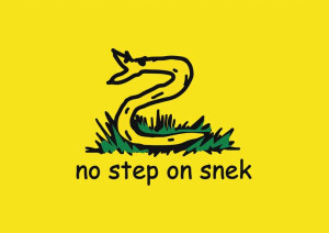 Plakat A3 Flaga Libertarian Gadsdenka PROMOCJA