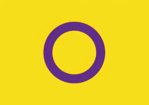 Plakat A3 Flaga Osób Interseksualnych PROMOCJA