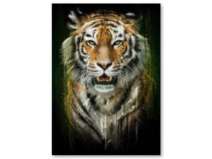 Haft Diamentowy, Obraz, Mozaika Diamond Painting, TYGRYS 30x40cm