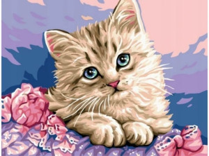Obraz Malowanie Po Numerach Rama 50x40cm Uroczy Kotek