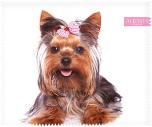 Ściereczka do okularów Albinex Animal Collection wzór 133