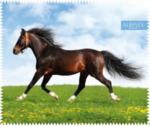 Ściereczka do okularów Albinex Animal Collection wzór 96