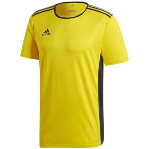 Koszulka dla dzieci adidas entrada 18 jr żółto-niebieska gt6834