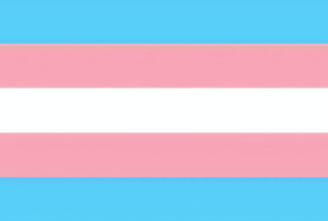 Podkładka pod myszkę LGBT flaga Transpłciowych