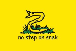Podkładka pod myszkę flaga Libertariańska